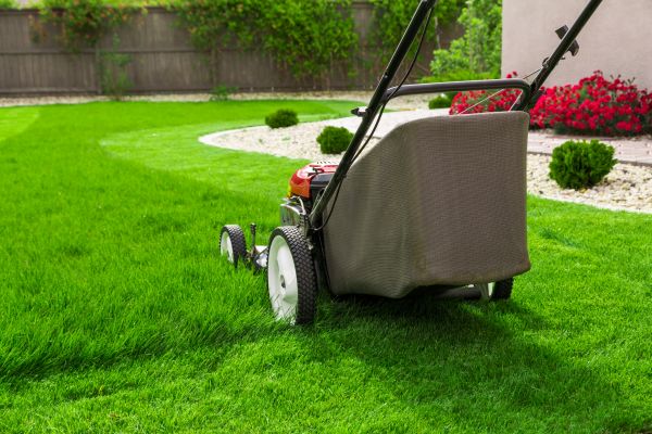 Grow your Pasture Mowing Service business