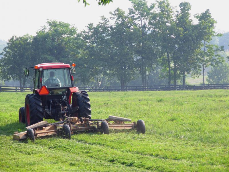 pasture mowing service