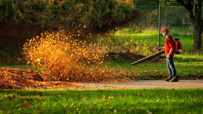 Leaf removal equipment in action