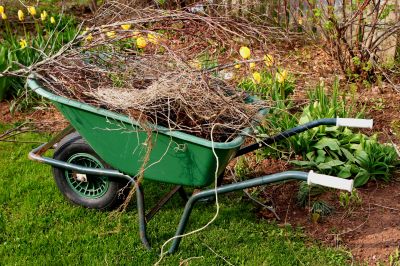 Lawn being cleared of debris
