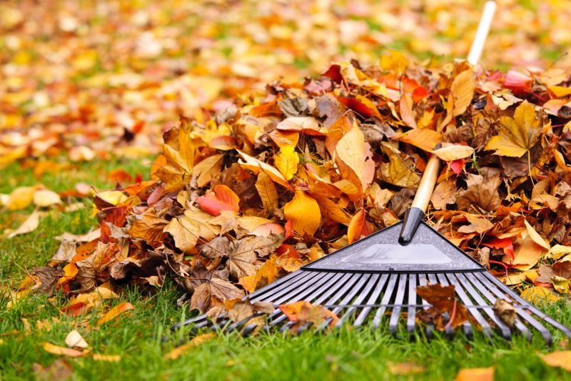 Fall lawn care tools