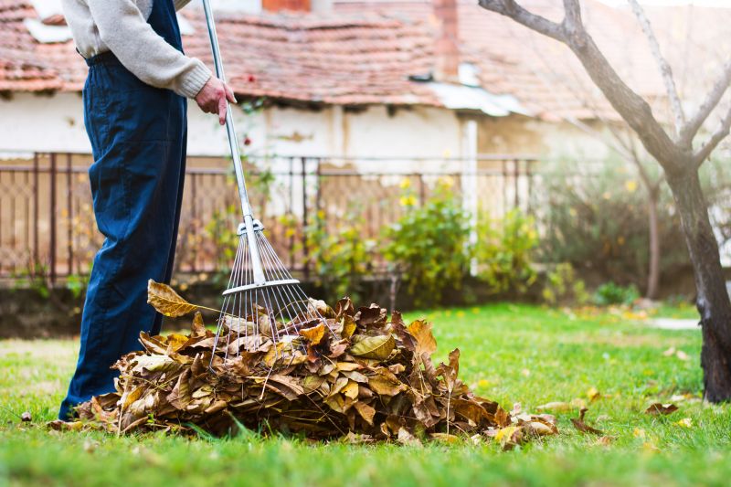 Lawn with fallen leaves