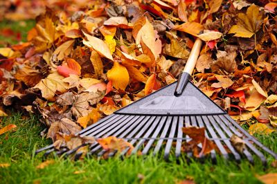 Tools for fall cleanup